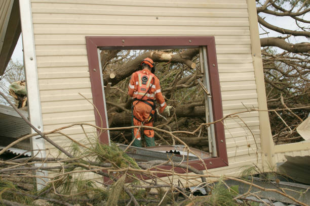 Nashville, TN Tree Services Company